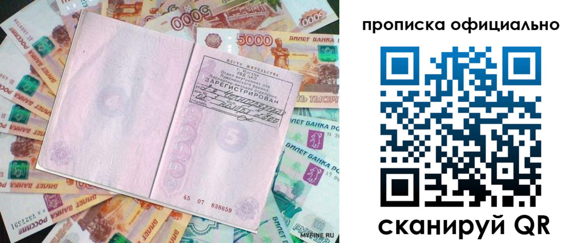 прописка поиск в Шуе